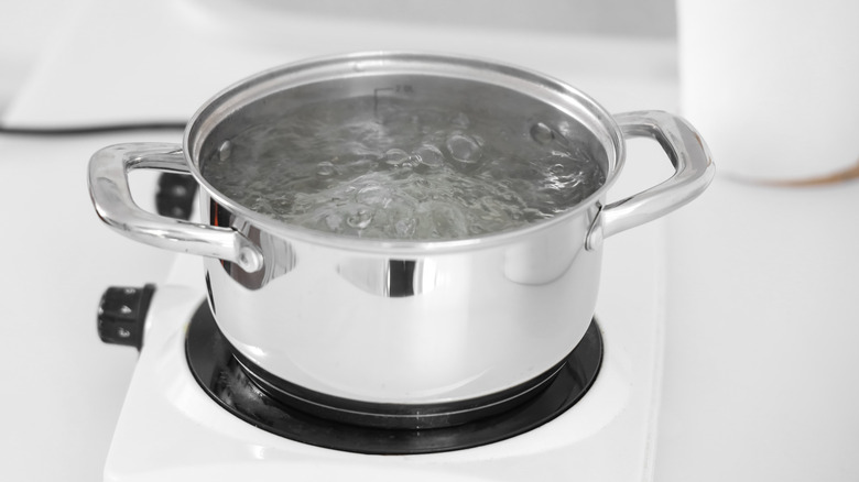 A stainless steel pot of boiling water on an electric hot plate