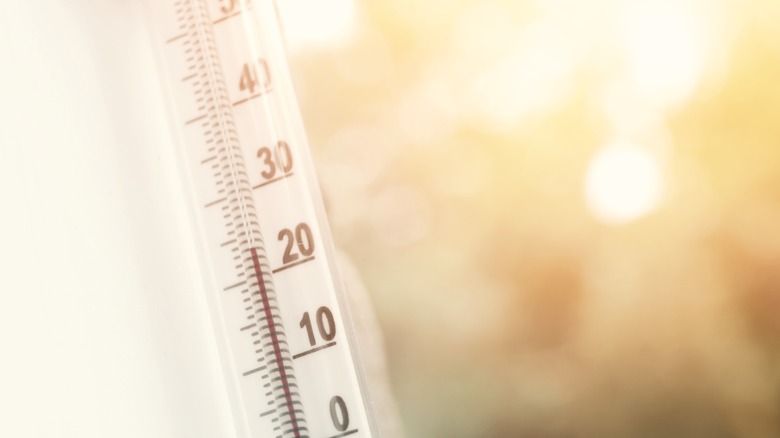 Thermometer on sunny background 