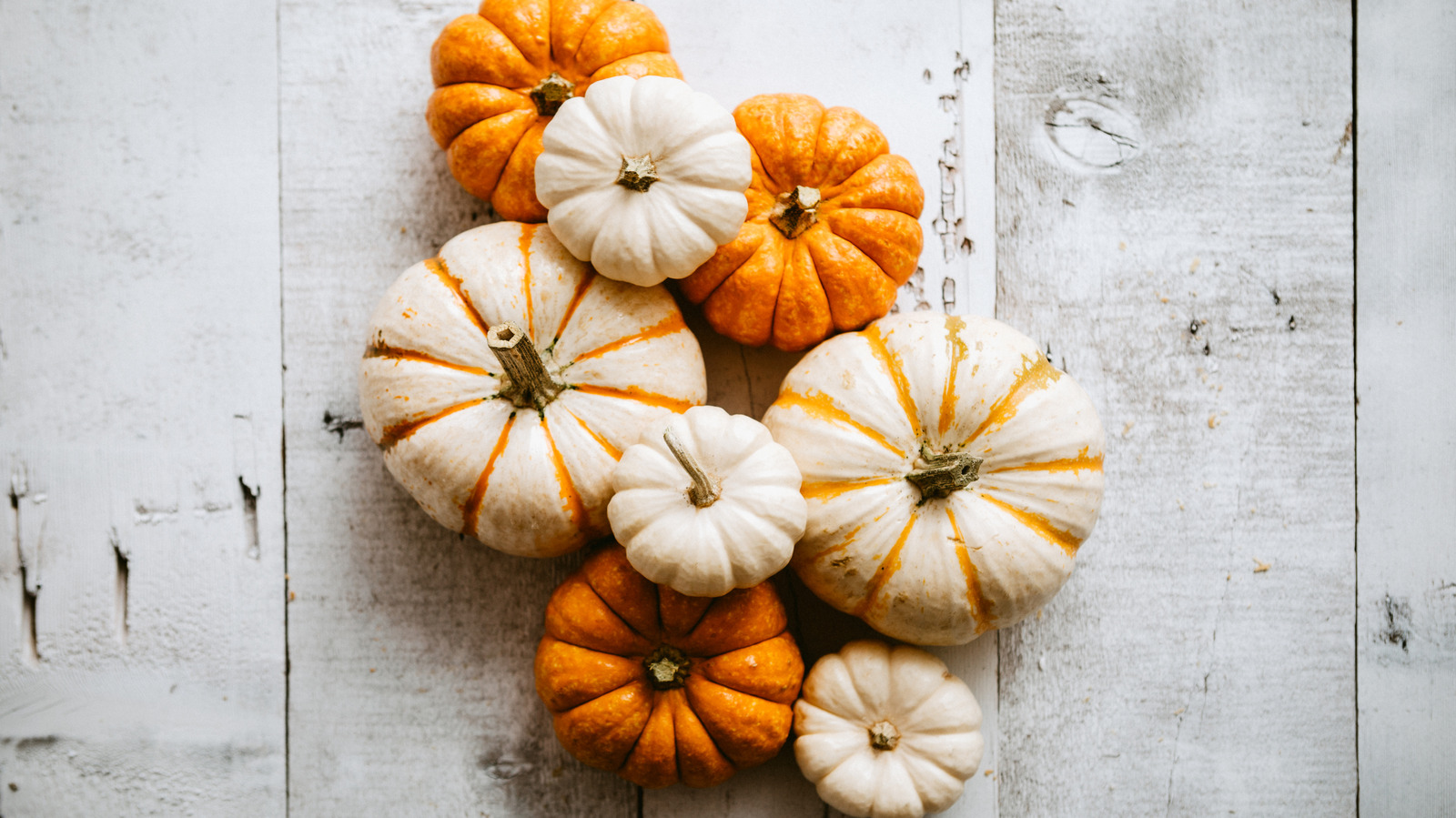 13 Aldi Pumpkin Products For Your Fall Shopping Trip