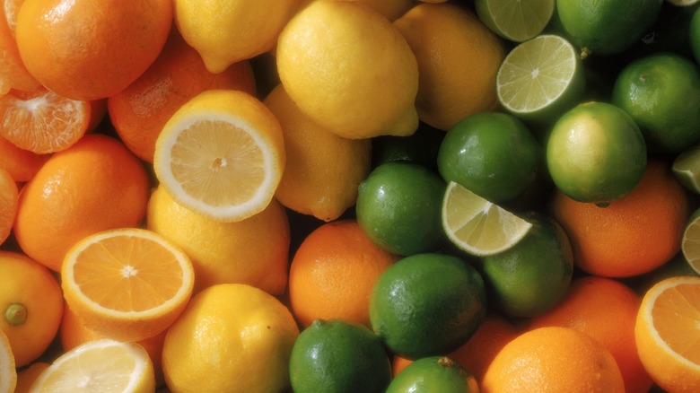 Pile of different citrus fruits