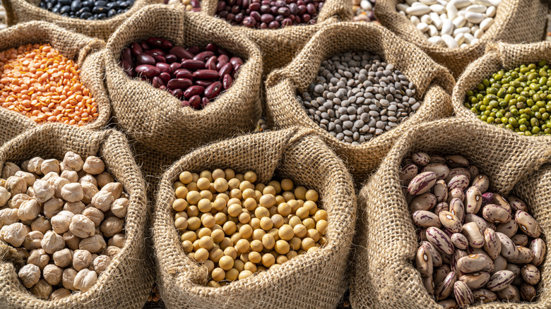 variety of dried beans in burlap sacks