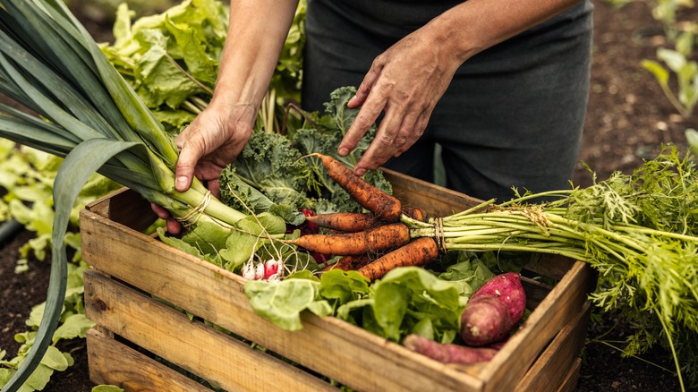Fresh farm produce in wooden box