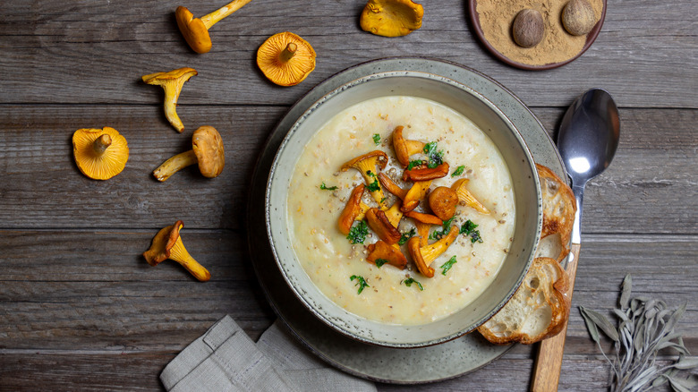 Chanterelle mushroom soup