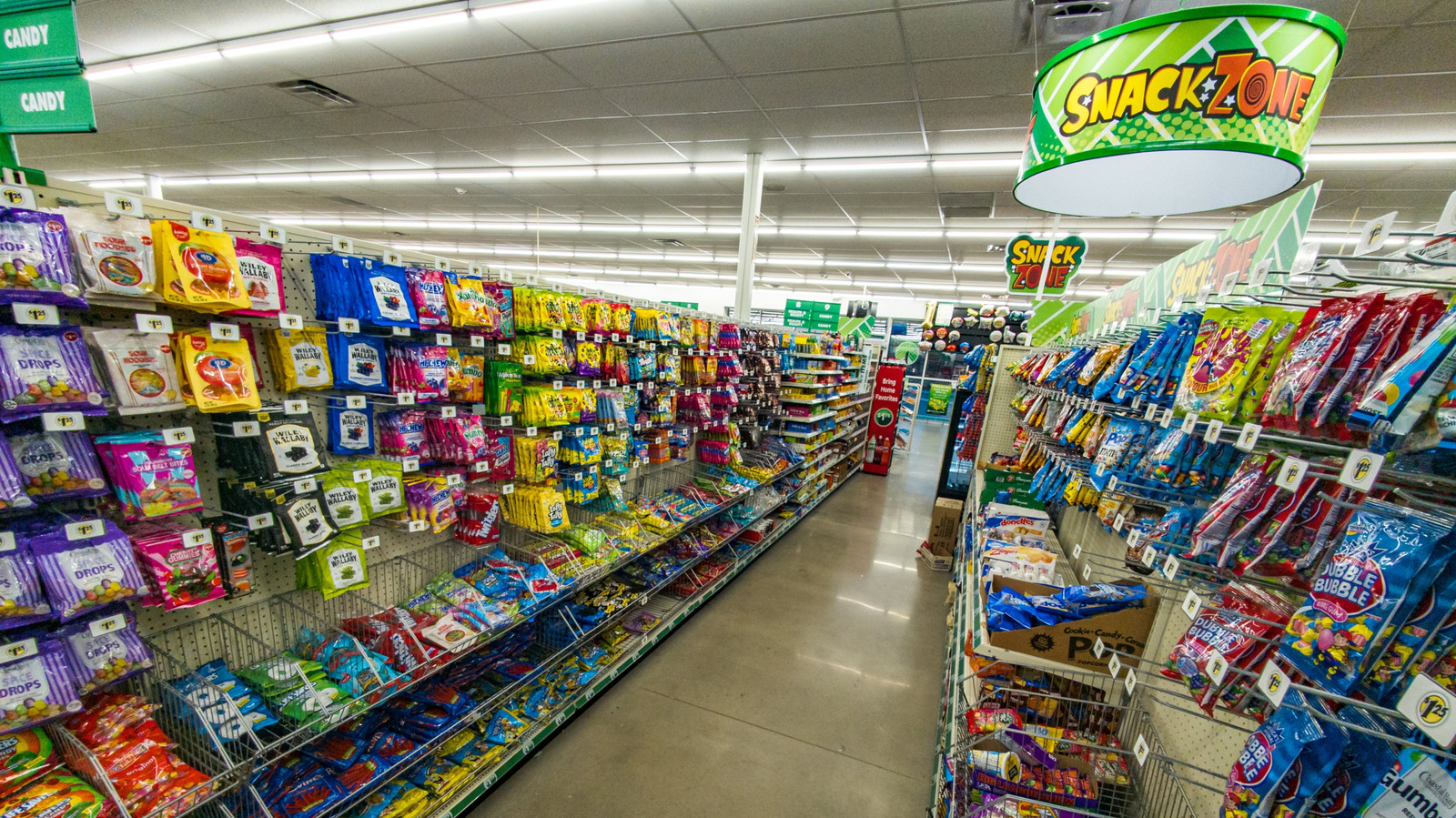 13 Dollar Tree Summer Snacks To Bring To The Beach