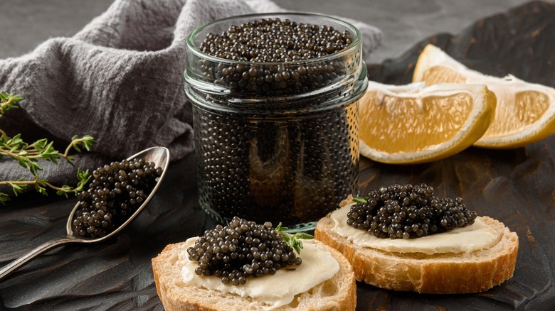 caviar in jar and spoon