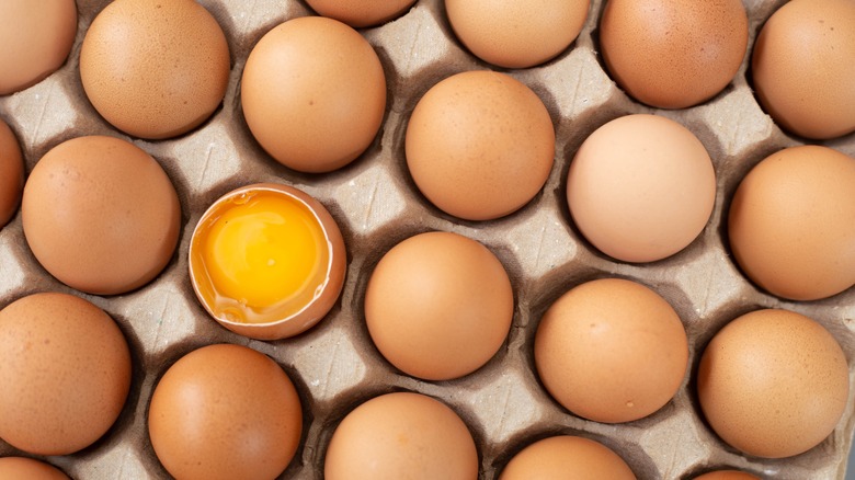 Eggs in carton