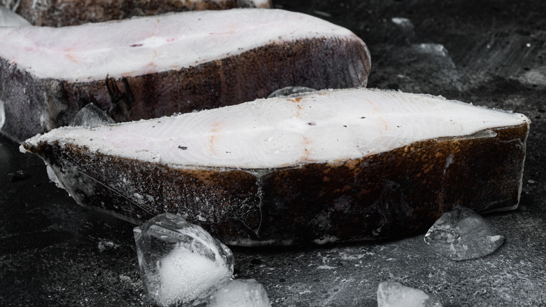 Frozen halibut steaks with ice cubes
