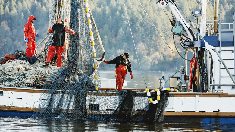 Commercial fishers wearing red coveralls, hauling their nets up from sea to boat.