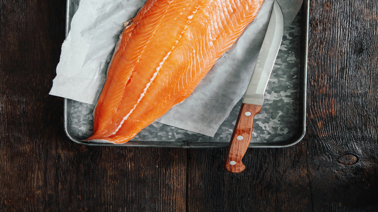 A large salmon fillet on parchment paper, over ice.