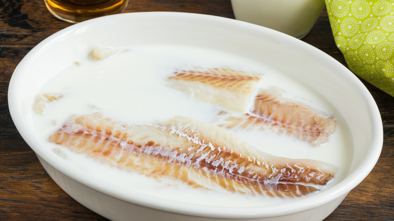Tilapia filets marinating in milk.