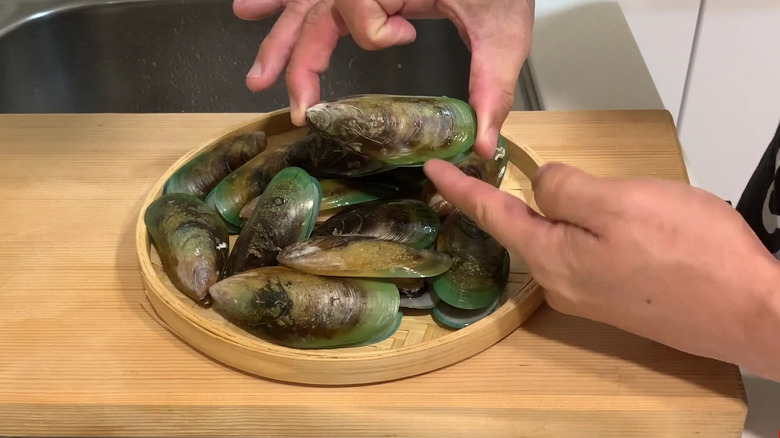 Person examining frozen mussels 