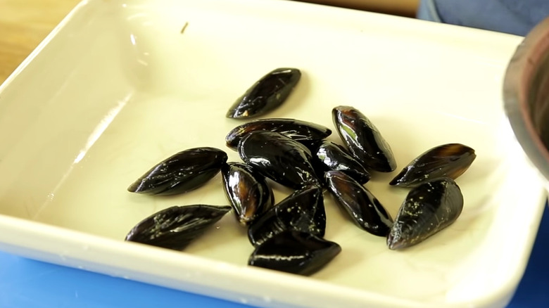 Closed mussels