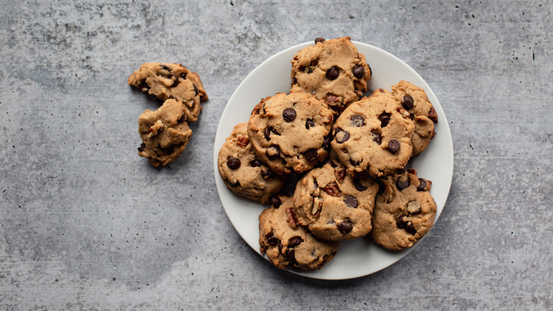 A plate of chocolate chip cookies