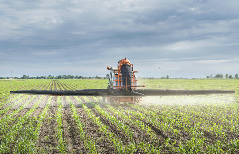 Part of the 'Dirty Dozen'