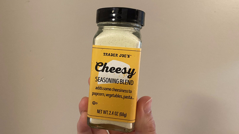 Cheesy Seasoning Blend