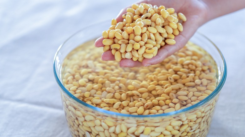 beans soaking in a bowl