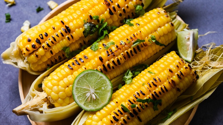 Grilled corn on the cob