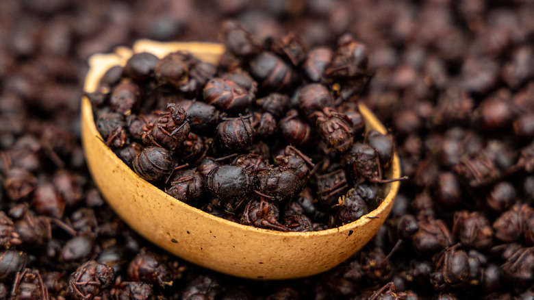 A pile of Mexican chicatanas