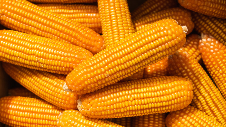 Piles of corn