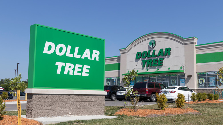 Dollar Tree discount store 