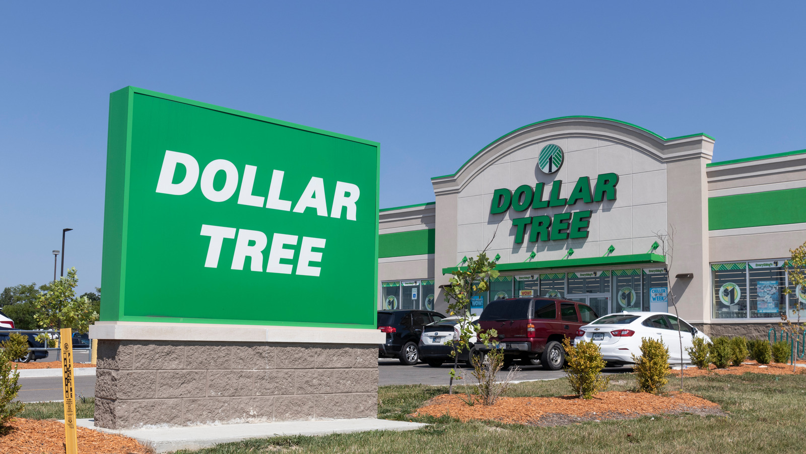 My Experience Eating Only Food From the Dollar Store for a Week