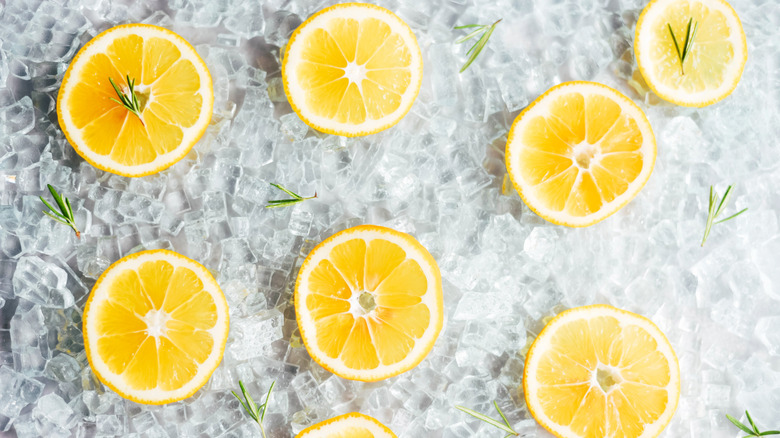 Orange slices on ice cubes