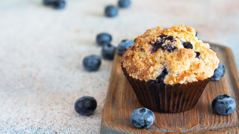 Blueberry cupcake with fresh blueberries