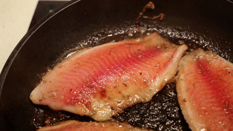 tilapia fillets fried in pan