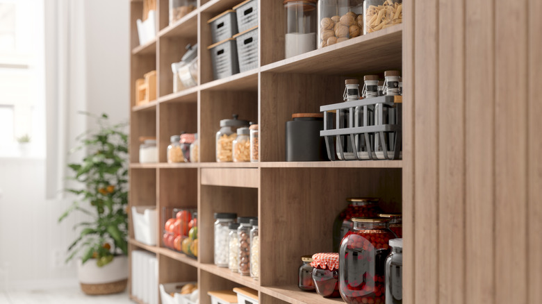Generic kitchen with organized shelves