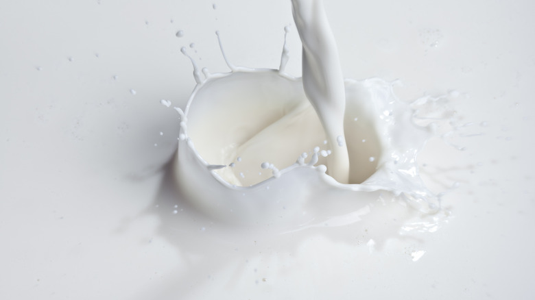 splash of cream or half-and-half