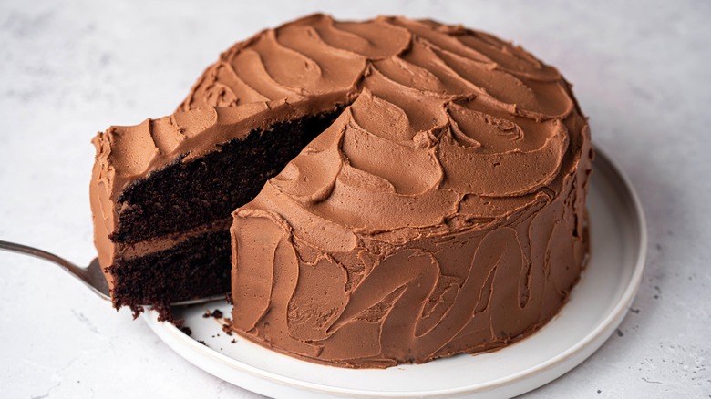 chocolate cake with cut piece