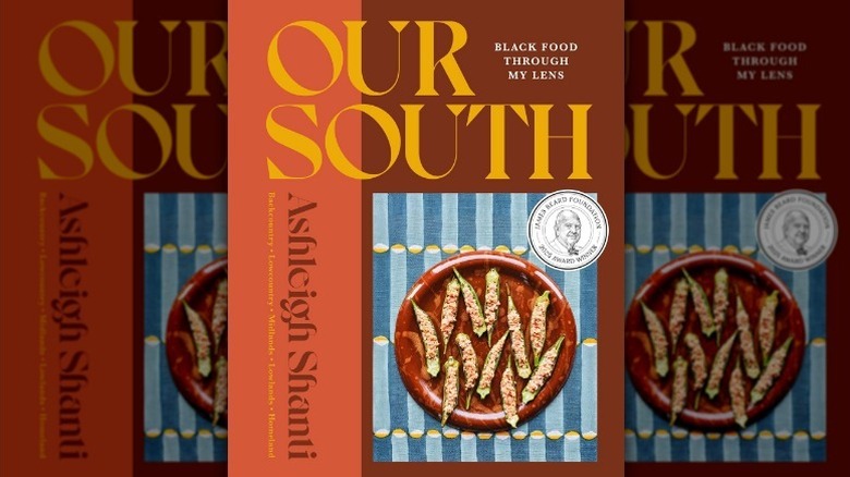 Mirrored image of Our South cover