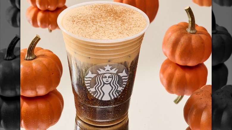 Starbucks' pumpkin cream cold brew on a mirrored surface surrounded by tiny pumpkins