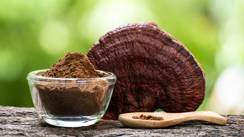A dried mushroom sits behind a bowl of mushroom powder.