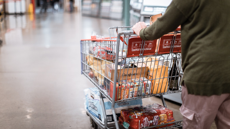 Person pushing cart through a Costco store