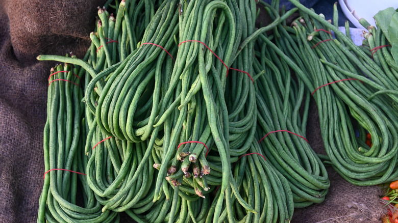 Long bean crop