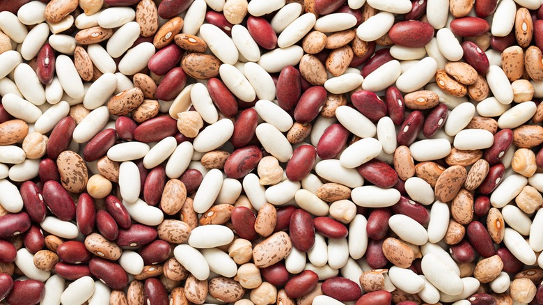 Mixture of assorted dried beans