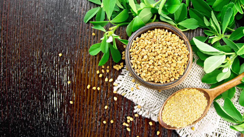 Fenugreek seeds in a bowl