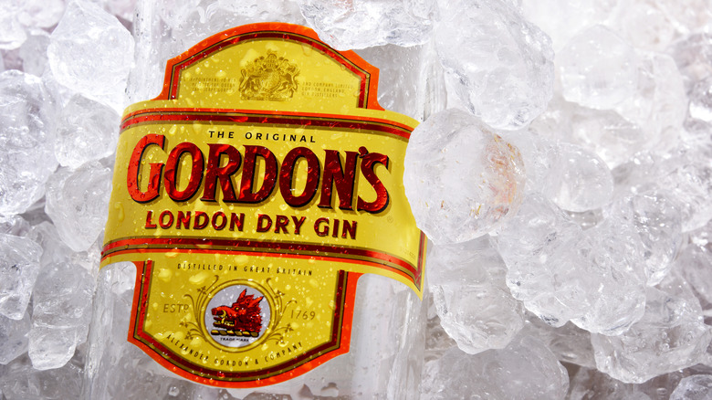 Gordon's gin bottle on ice