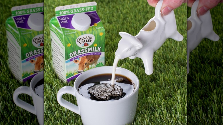 grassmilk creamer on grass