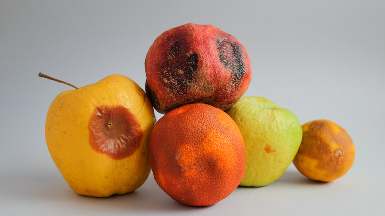 different types of spoiled fruit