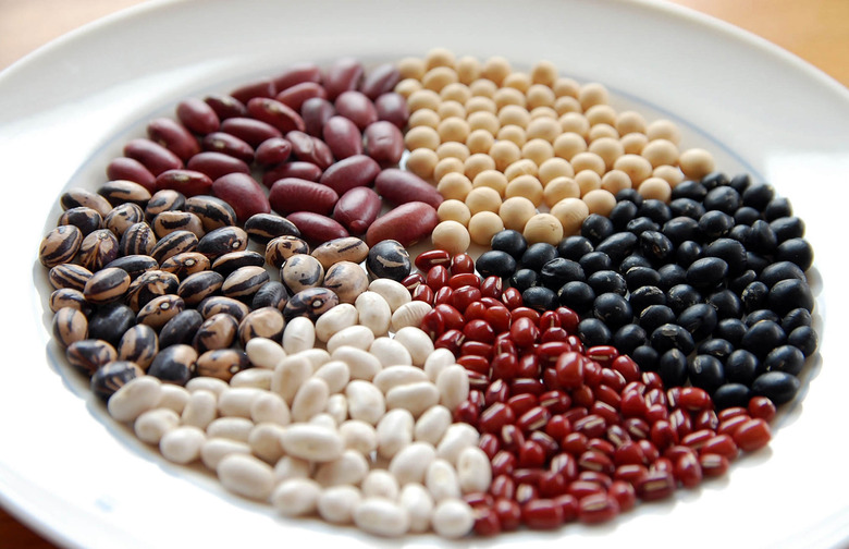 Focus on What You Can Eat