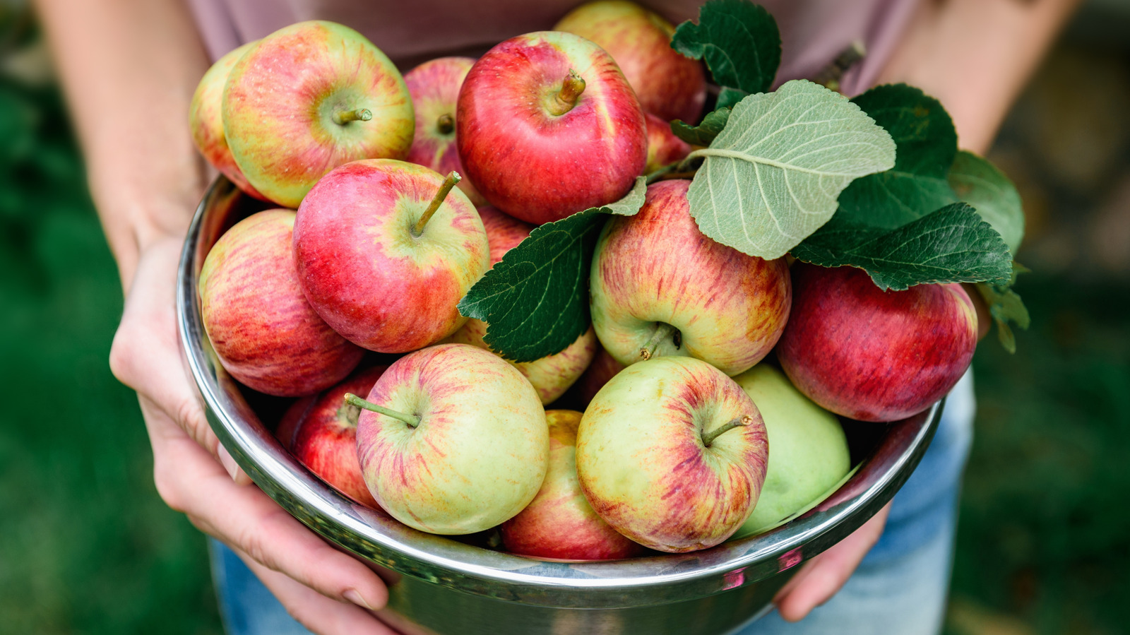 15 Trader Joe's Must-Haves For Apple Lovers