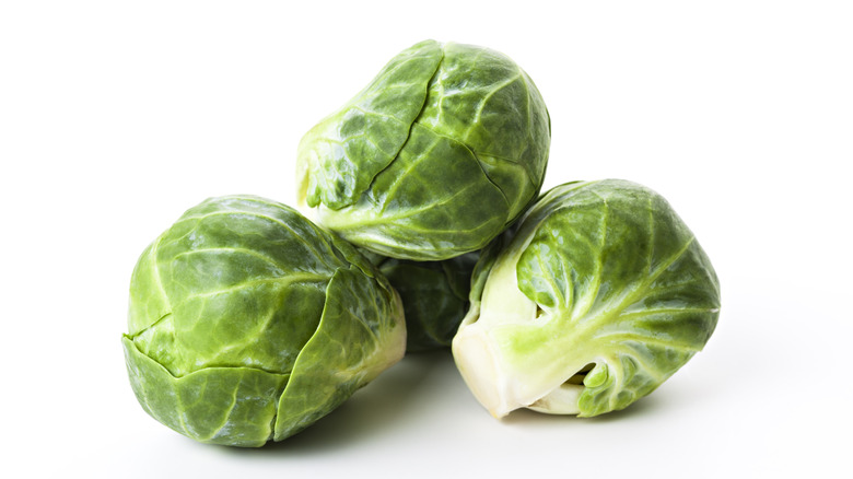 brussels sprouts on white background