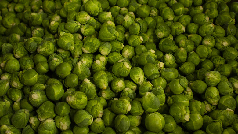 brussels sprouts in a pile