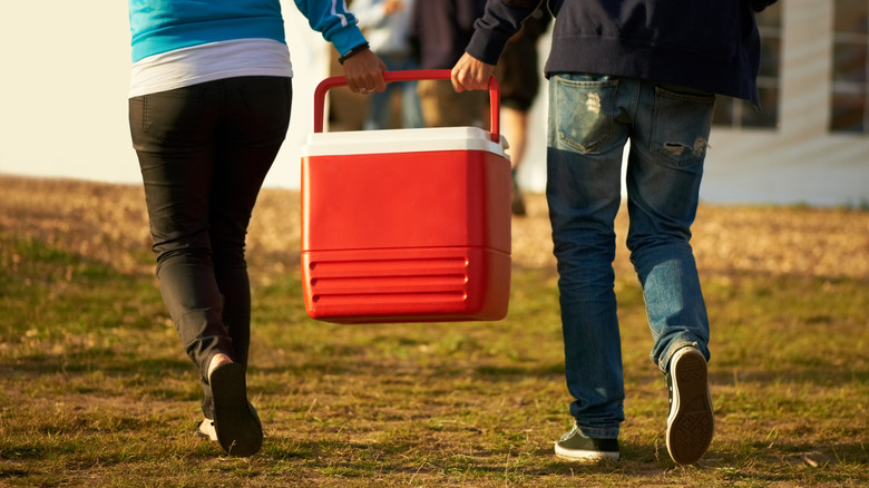 people carrying cooler