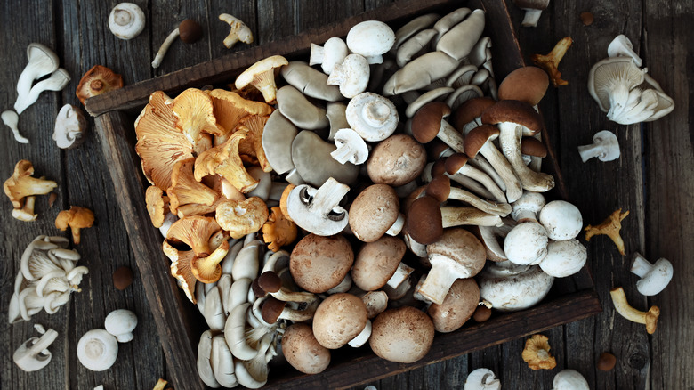 Mushrooms varieties on wooden table