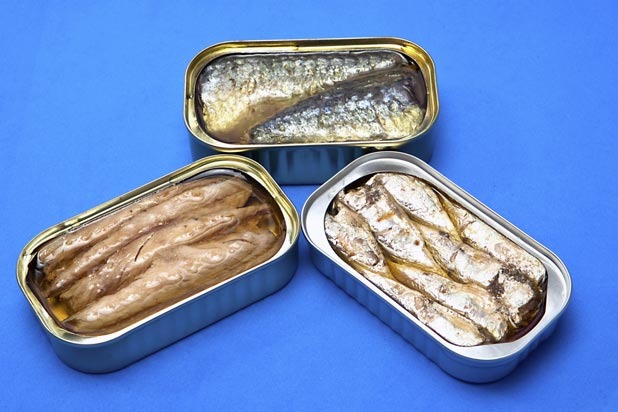 Canned Meats