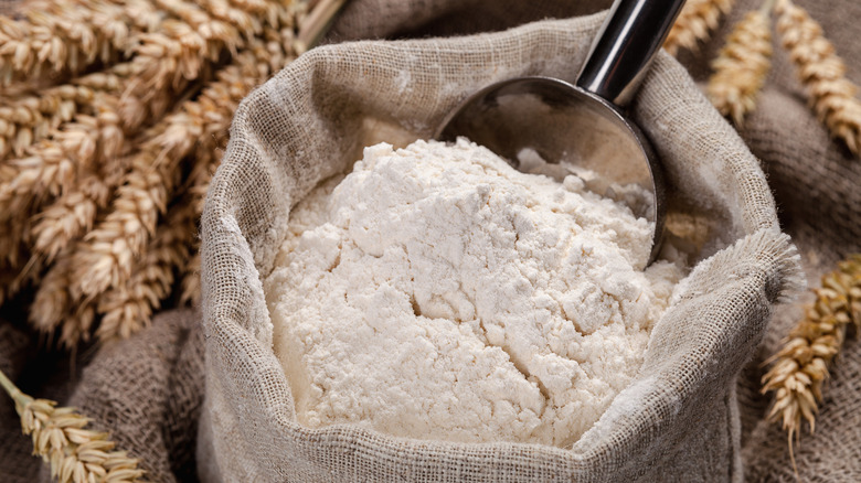 Fresh flour bag with scoop