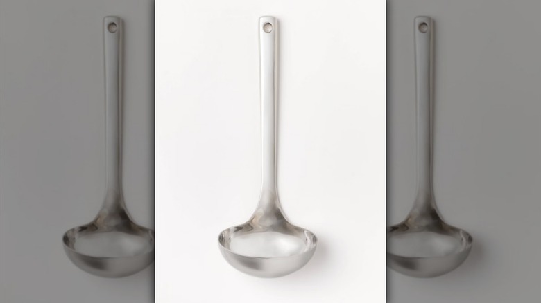 Figment stainless steel ladle on white background